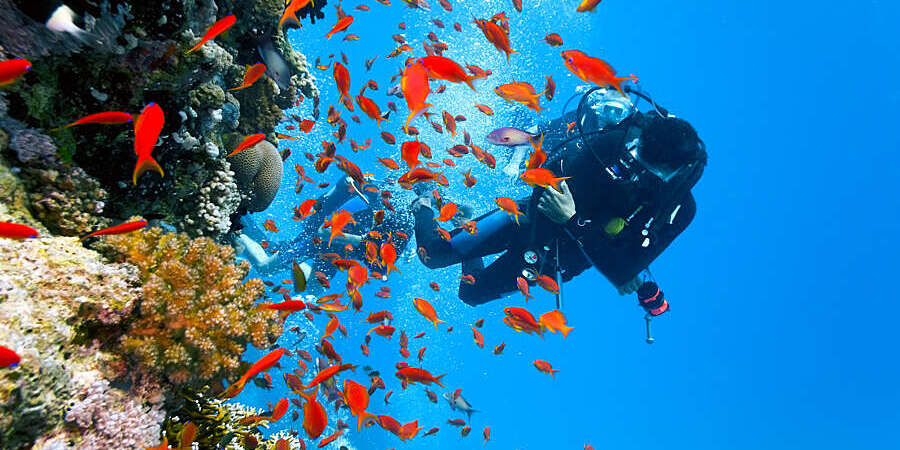 Tabarka.. une longue tradition de plongée sous-marine